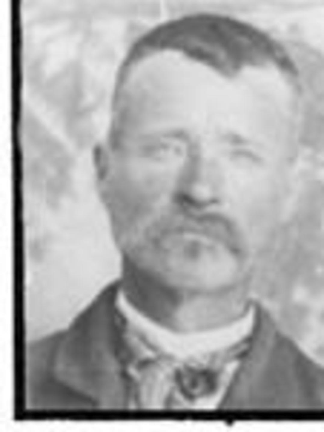 James Brigham Woolsey (1846 - 1935) Profile